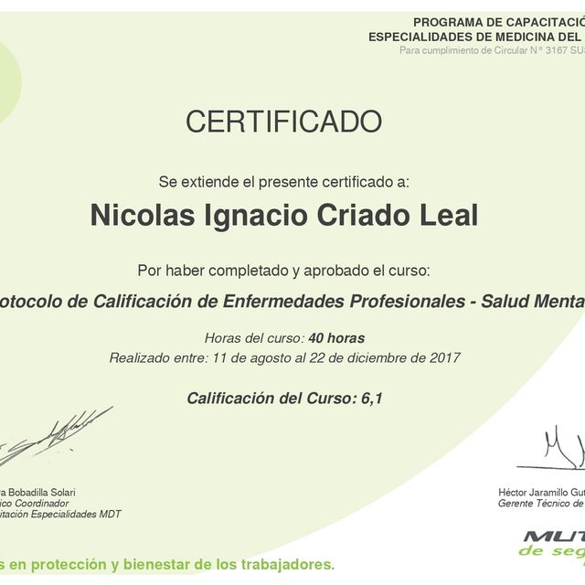 Acercar imagen: certificate 15