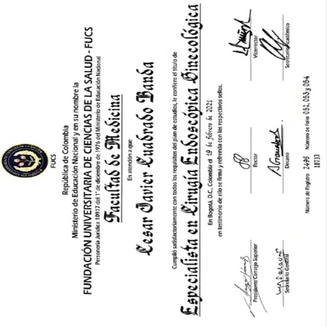 Acercar imagen: certificate 4