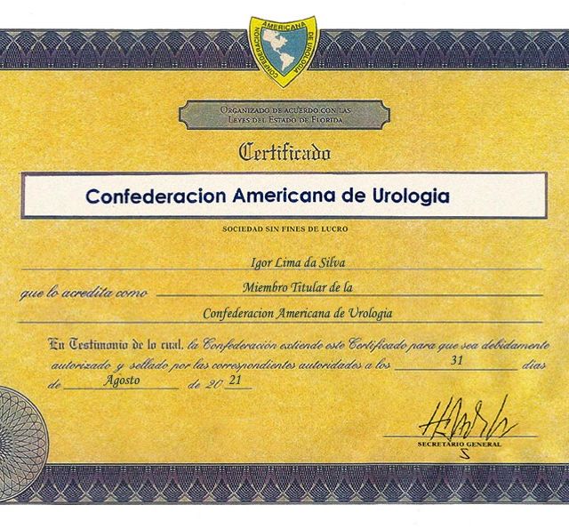 Ampliar imagem: certificate 4