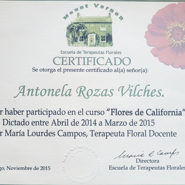 Acercar imagen: certificate 3