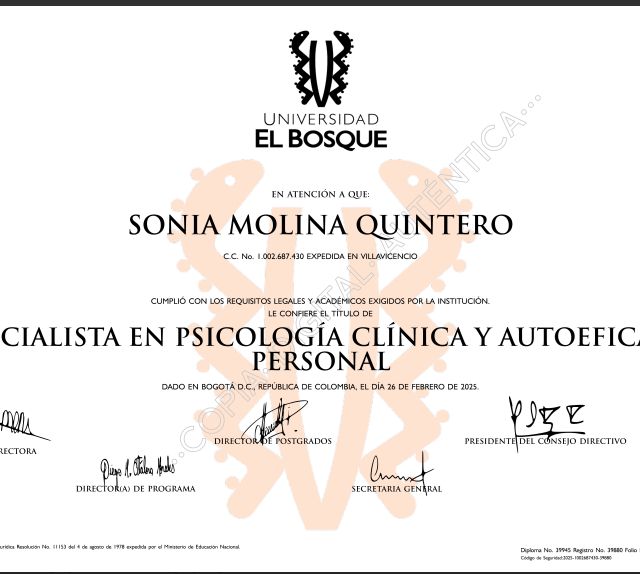 Acercar imagen: certificate 1