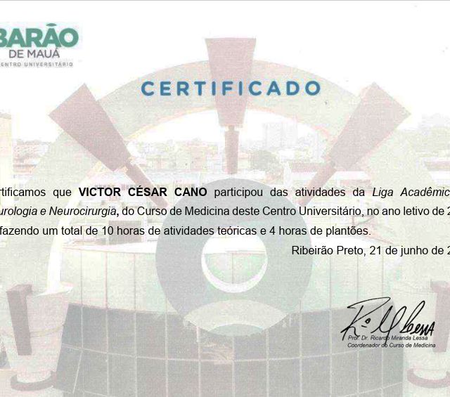 Ampliar imagem: certificate 29