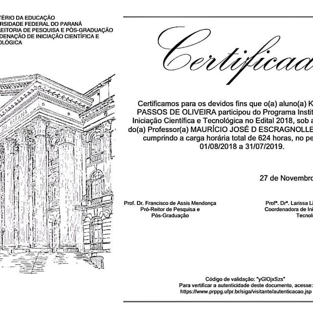 Ampliar imagem: certificate 9