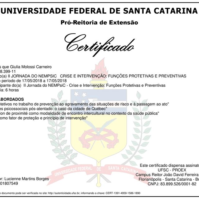 Ampliar imagem: certificate 9