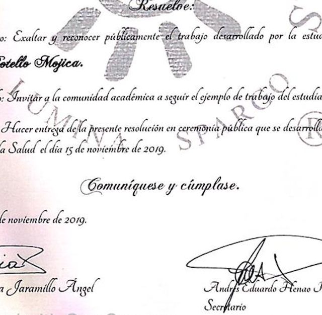 Acercar imagen: certificate 13