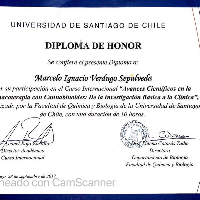 Acercar imagen: certificate 2