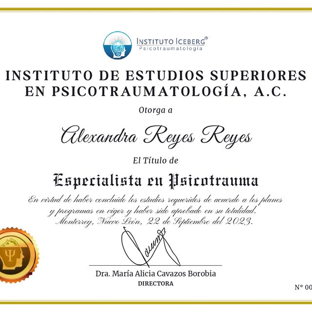 Acercar imagen: certificate 2
