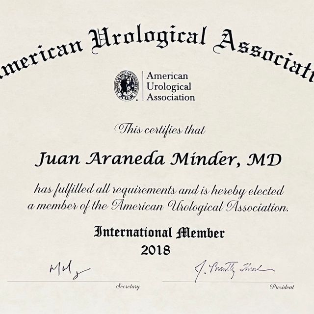 Acercar imagen: certificate 1