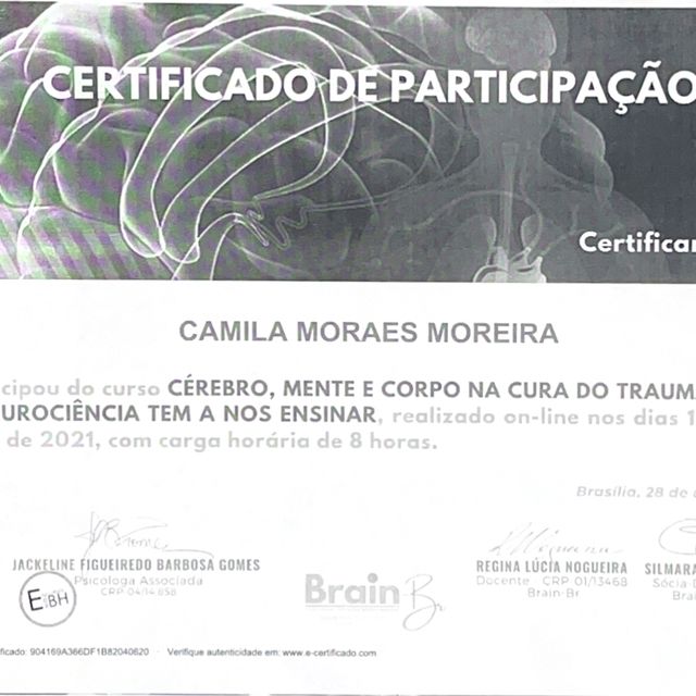 Ampliar imagem: certificate 4