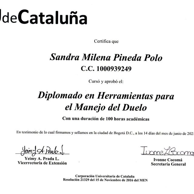 Acercar imagen: certificate 4