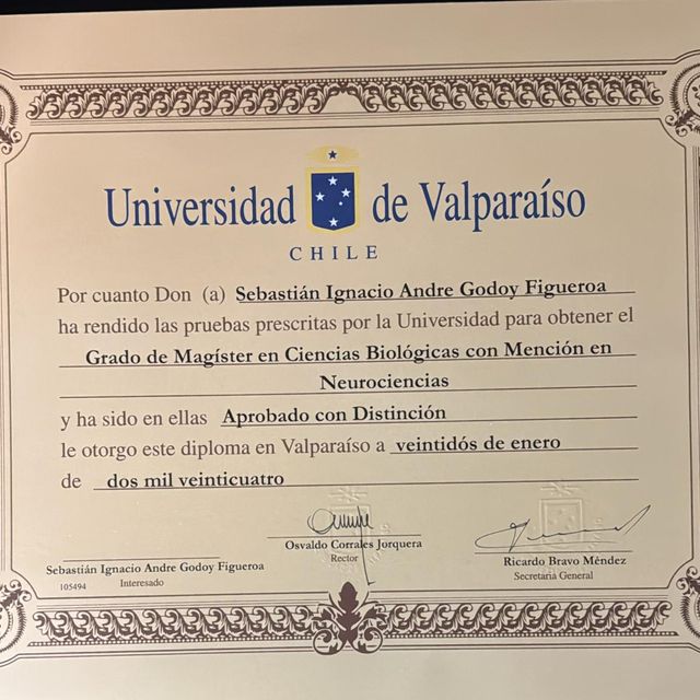 Acercar imagen: certificate 7