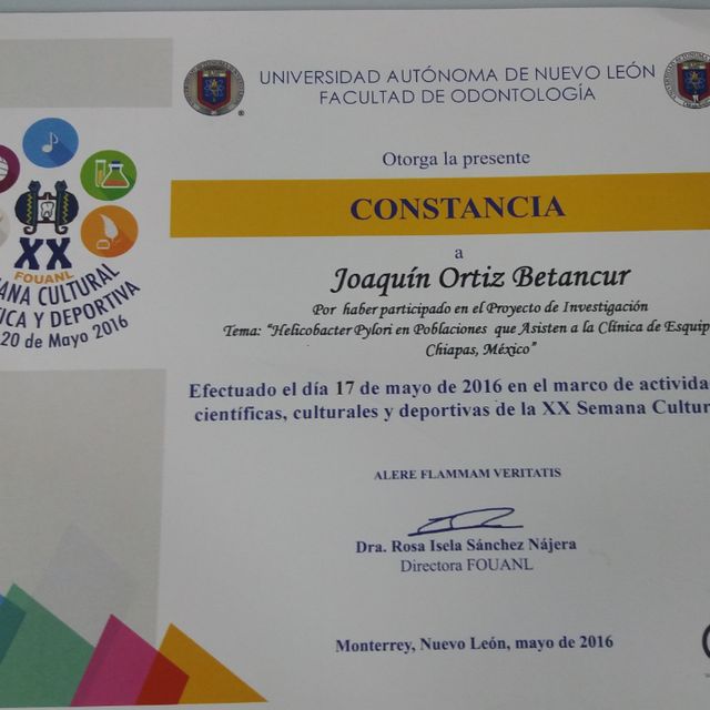 Acercar imagen: certificate 5