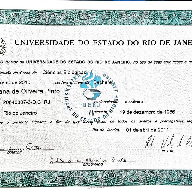Ampliar imagem: certificate 1