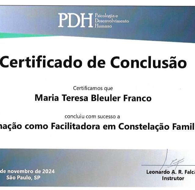 Ampliar imagem: certificate 2