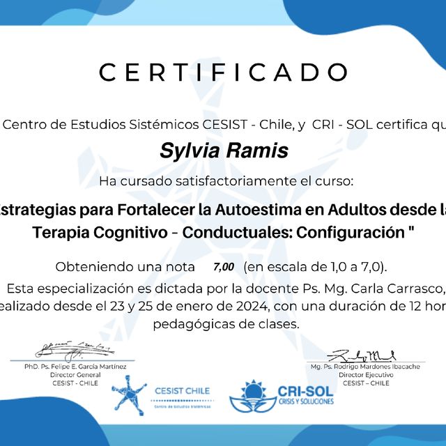 Acercar imagen: certificate 8