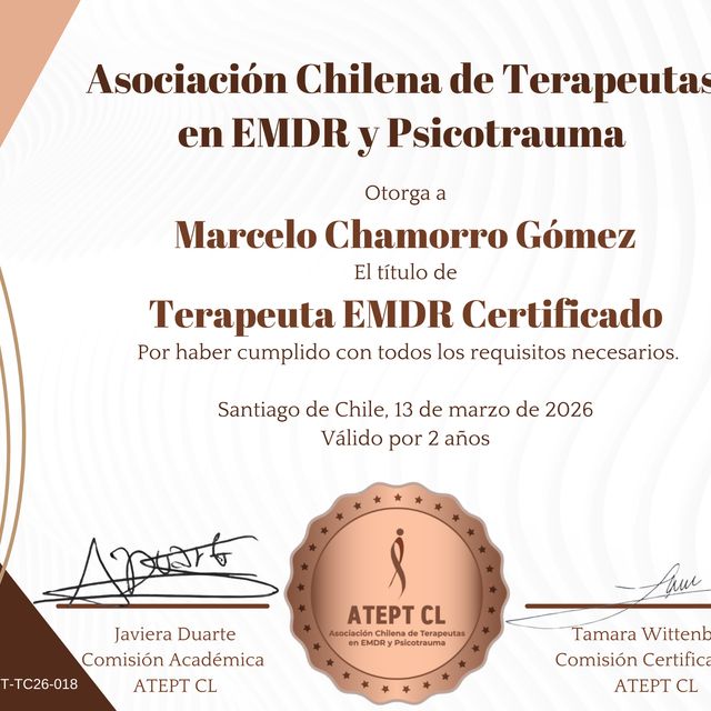 Acercar imagen: certificate 9