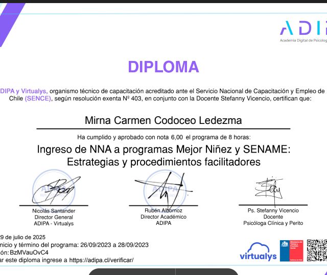 Acercar imagen: certificate 11