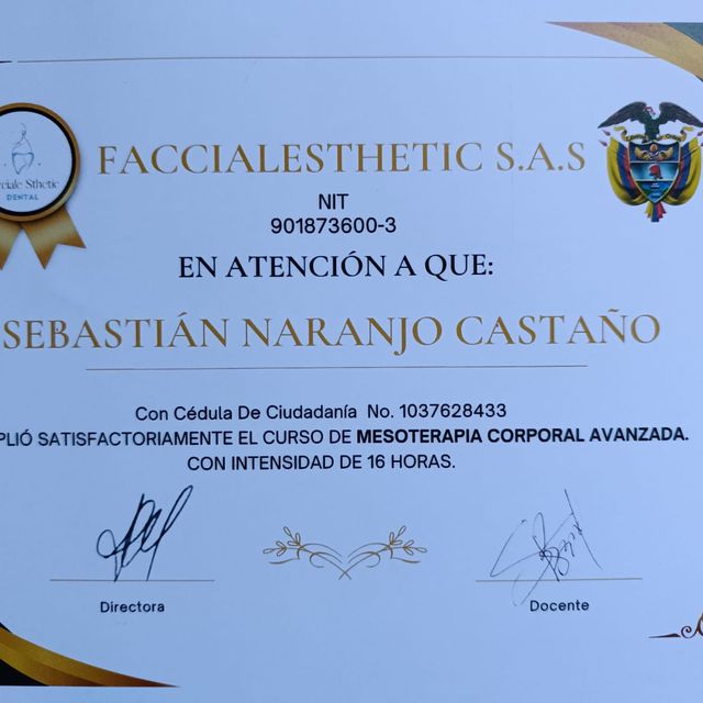 Acercar imagen: certificate 5