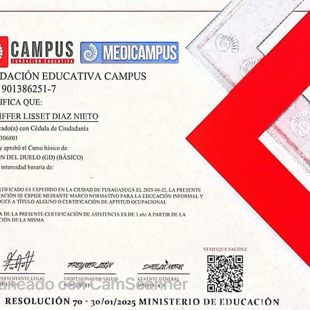 Acercar imagen: certificate 9