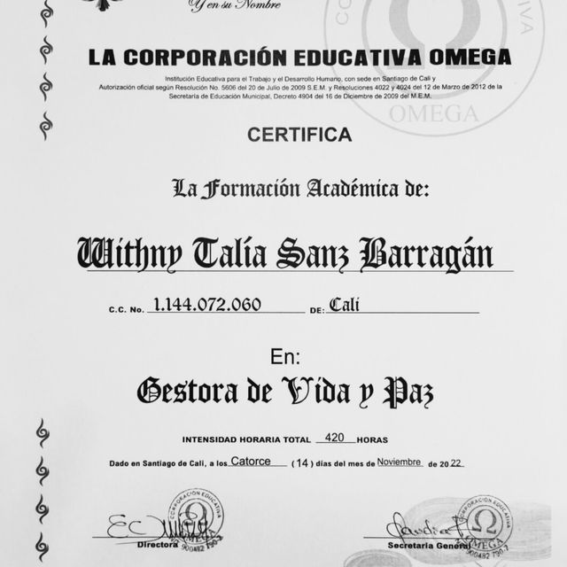 Acercar imagen: certificate 3
