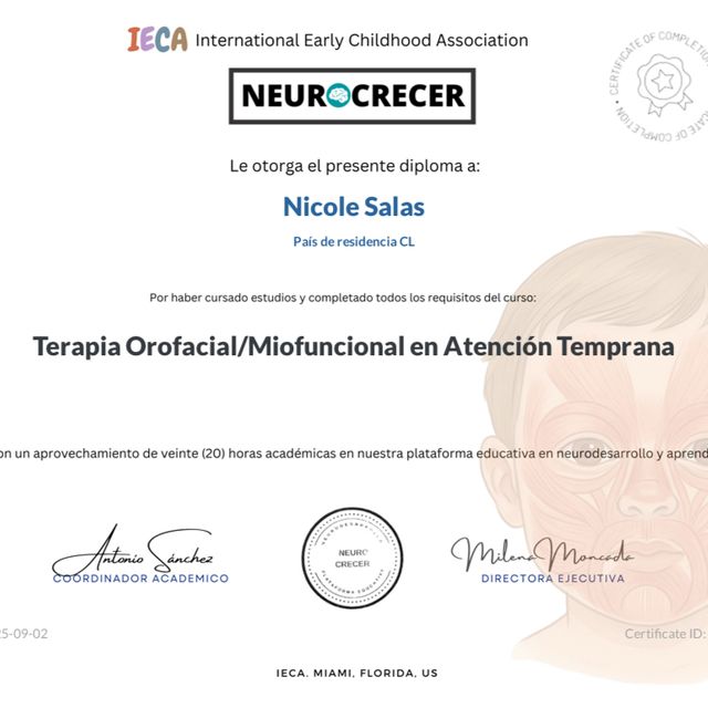 Acercar imagen: certificate 6