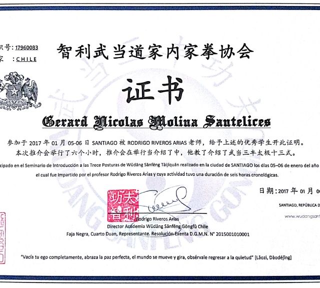 Acercar imagen: certificate 17