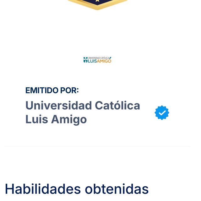 Acercar imagen: certificate 11