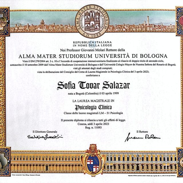 Acercar imagen: certificate 2