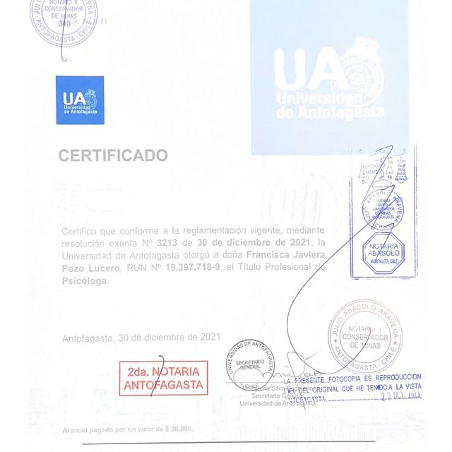 Acercar imagen: certificate 1