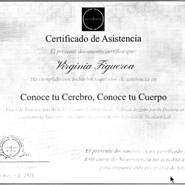Acercar imagen: certificate 6