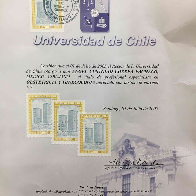 Acercar imagen: certificate 3