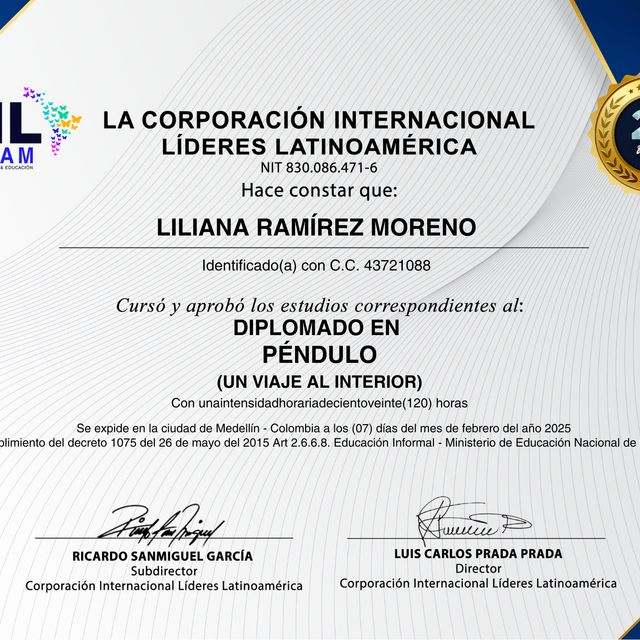 Acercar imagen: certificate 5
