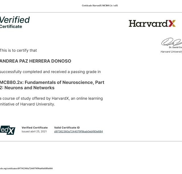 Acercar imagen: certificate 3