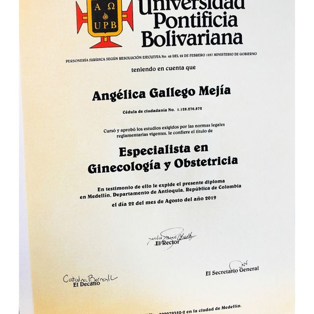 Acercar imagen: certificate 1