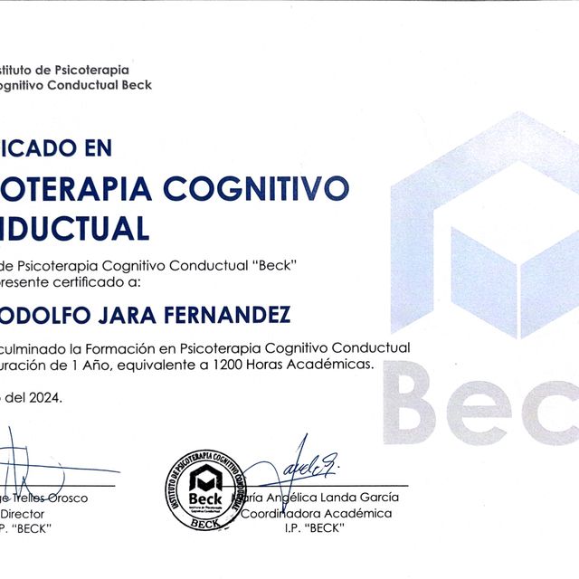 Acercar imagen: certificate 4