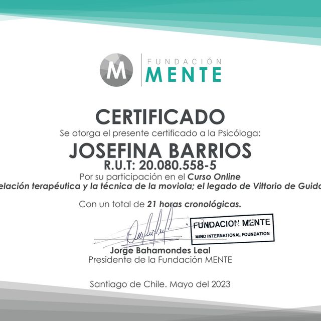 Acercar imagen: certificate 4