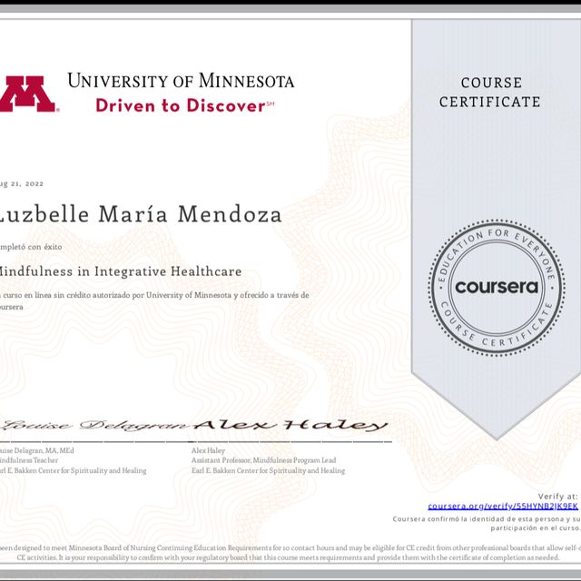 Acercar imagen: certificate 5