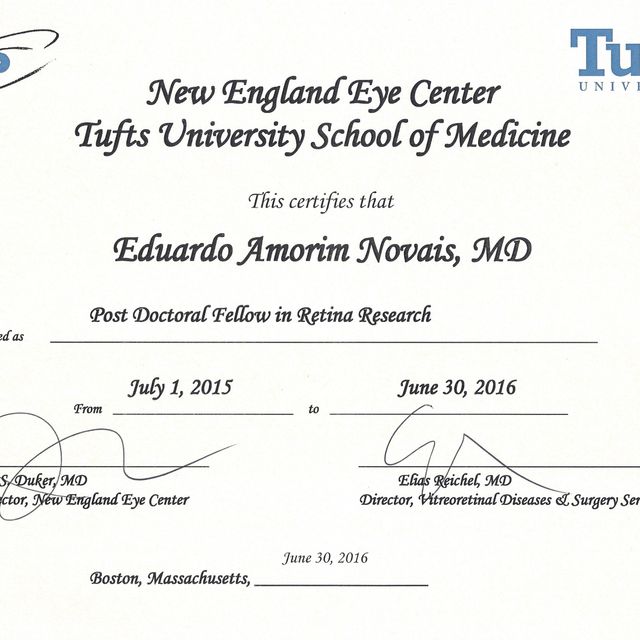 Ampliar imagem: certificate 6