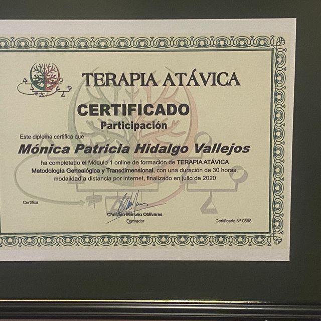 Acercar imagen: certificate 2