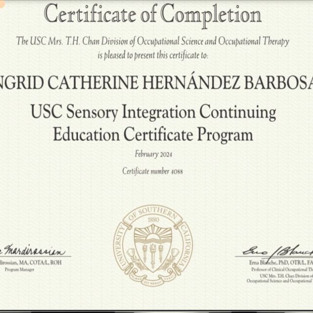 Acercar imagen: certificate 5