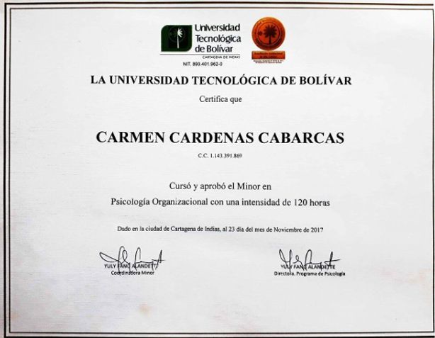 Acercar imagen: certificate 3