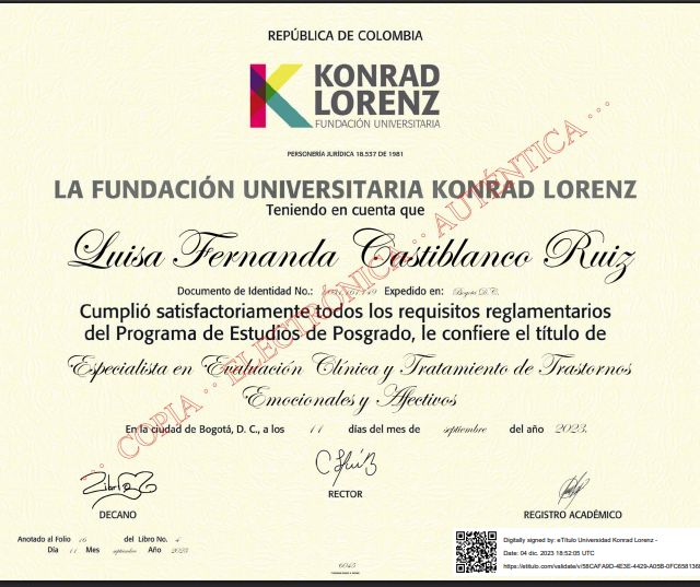 Acercar imagen: certificate 3
