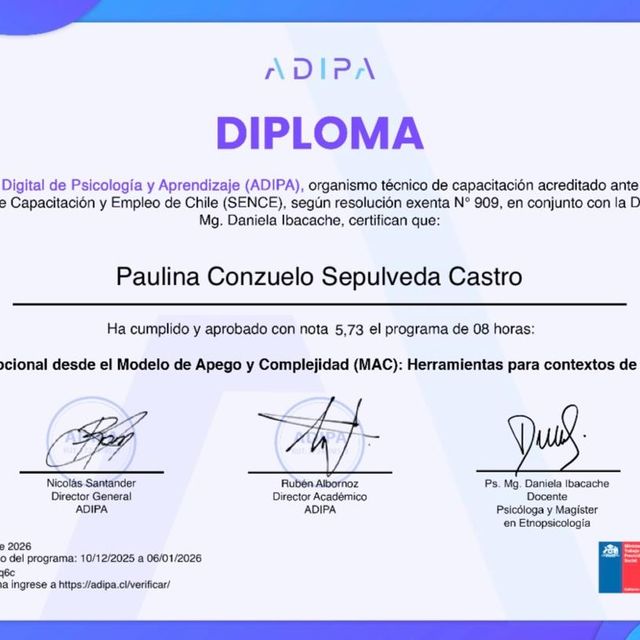 Acercar imagen: certificate 6