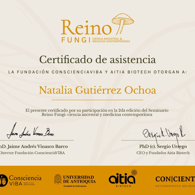 Acercar imagen: certificate 2