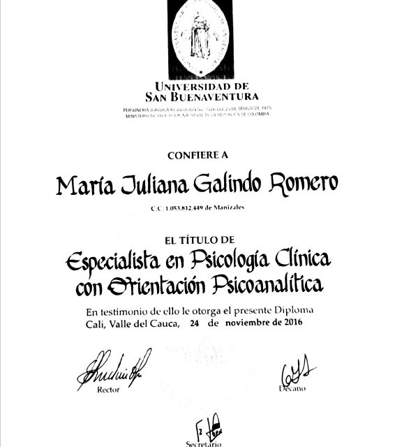 Acercar imagen: certificate 2