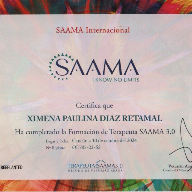 Acercar imagen: certificate 1