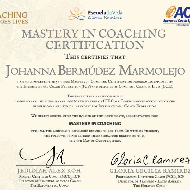 Acercar imagen: certificate 6