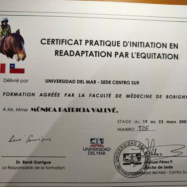 Acercar imagen: certificate 4