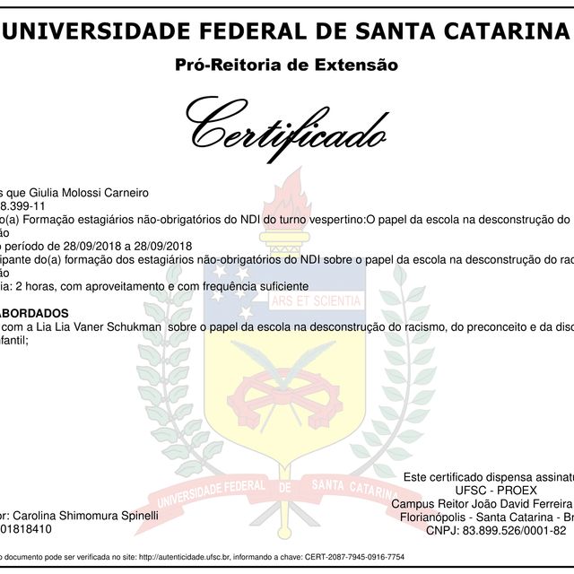 Ampliar imagem: certificate 11
