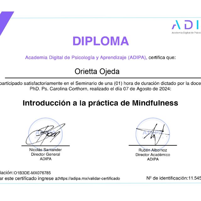 Acercar imagen: certificate 3
